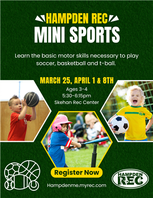 Mini Sports