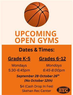 Open Gym